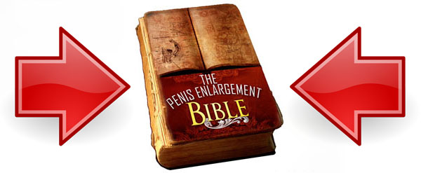 pe bible ebook download