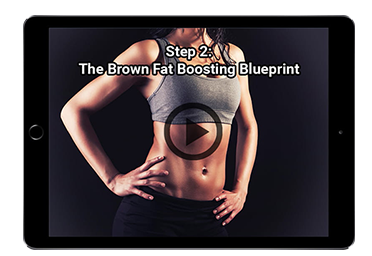 the brown fat boosting blueprint