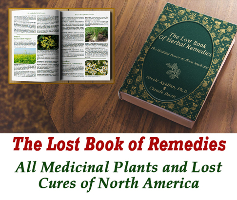 the lost book of herbal remedies review